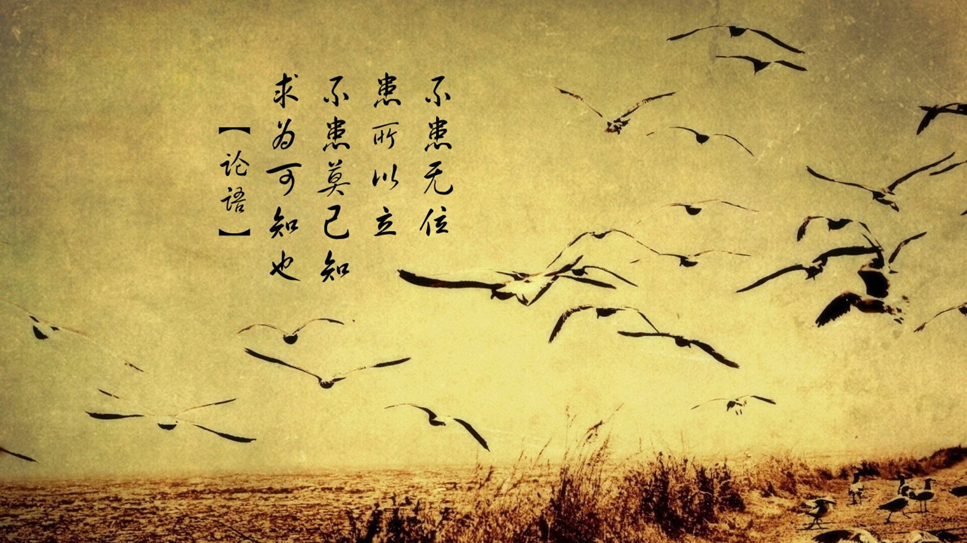 _湖人重燃希望,赢得关键比赛_,湖人 how many more