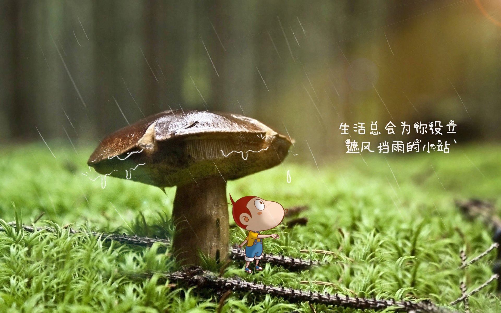 “德国梦之队状态火热,迎战重要赛事”,德国梦幻
