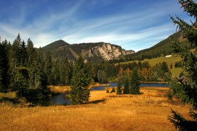 开云体育网站入口-全球最热台球赛事全面盘点，台球世界赛事