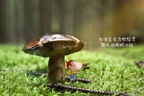 kaiyun-“德国梦之队状态火热,迎战重要赛事”,德国梦幻