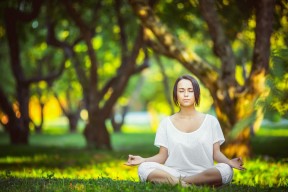 开云综合服务-男子橄榄球收视与门票仍占主导，男子橄榄球队