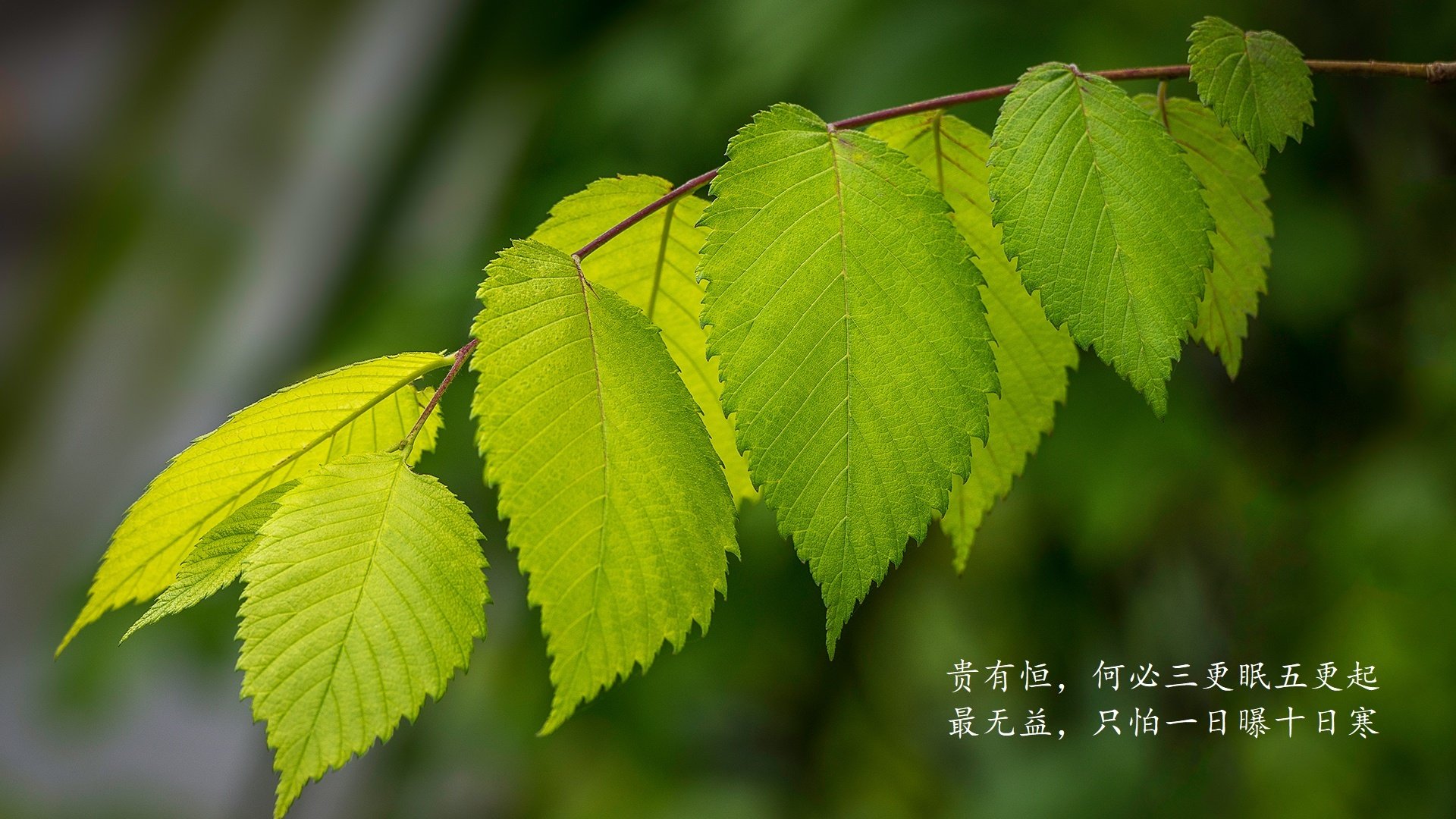 “中超联赛线上竞猜活动火热开启,粉丝互动不断升级”,中超联赛网络直播平台